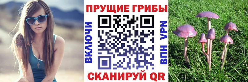 Галлюциногенные грибы Psilocybe ссылка на мегу маркетплейс Сарапул